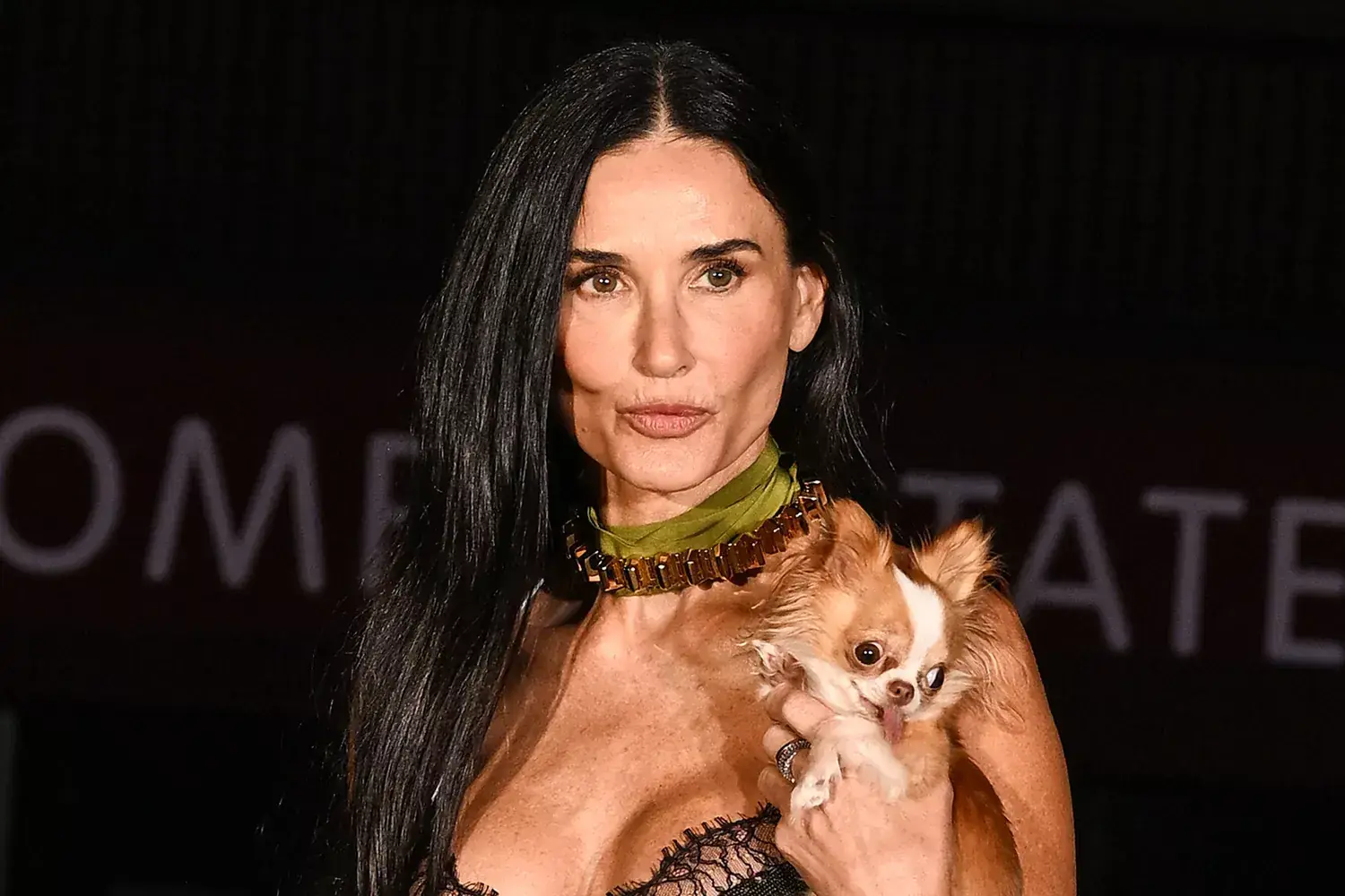 Demi Moore's dog Pilaf still recognized her through The Substance's twisted prosthetics: 'She always knew who I was' Related images #4